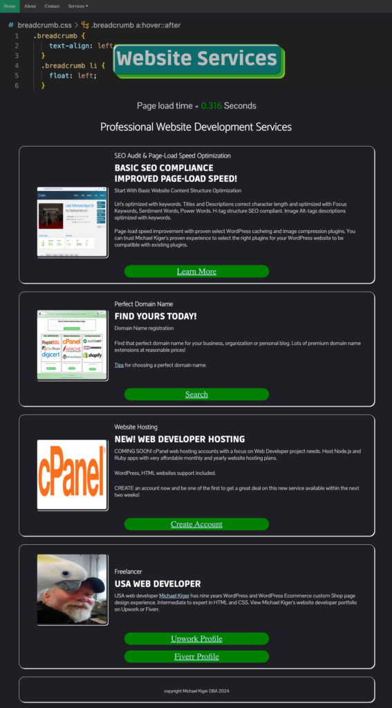 websiteservices.online website home page screenshot